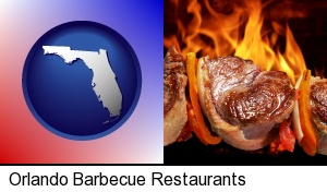meat on a hot barbecue grill in Orlando, FL